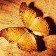 Алеся Парамон